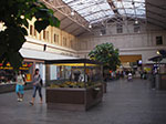 IMGP3680.jpg