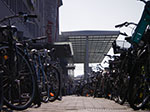 IMGP3685.jpg