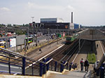 IMGP3695.jpg