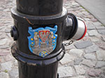 IMGP3700.jpg