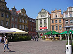 IMGP3753.jpg