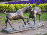 IMGP3759.jpg
