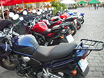 IMGP3803.jpg