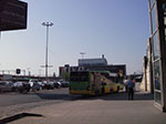 IMGP3861.jpg