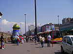 IMGP3865.jpg
