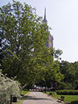 IMGP3870.jpg