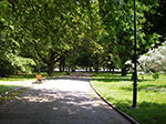 IMGP3871.jpg