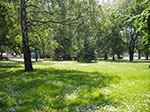 IMGP3873.jpg
