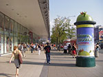 IMGP3883.jpg