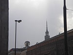 IMGP3888.jpg