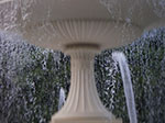 IMGP3928.jpg