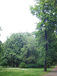 IMGP3931.jpg