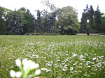 IMGP3958.jpg