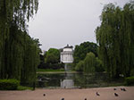 IMGP3963.jpg