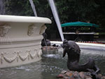 IMGP3964.jpg