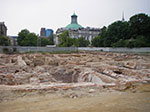 IMGP3965.jpg