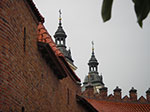 IMGP4062.jpg