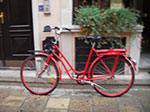 IMGP4067.jpg