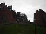 IMGP4077.jpg