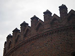 IMGP4130.jpg