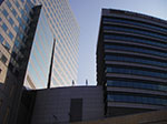 IMGP4175.jpg