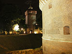 IMGP4183.jpg