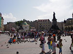 IMGP4213.jpg