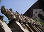 IMGP4232.jpg