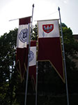 IMGP4236.jpg