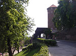 IMGP4238.jpg
