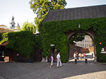 IMGP4241.jpg