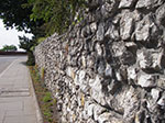 IMGP4244.jpg