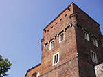 IMGP4248.jpg