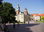 IMGP4262.jpg