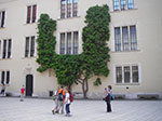IMGP4290.jpg