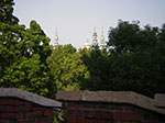 IMGP4299.jpg