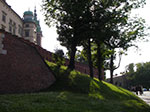 IMGP4303.jpg