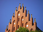 IMGP4313.jpg