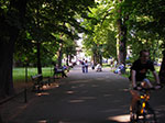 IMGP4314.jpg