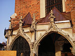 IMGP4323.jpg