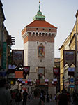 IMGP4336.jpg