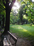 IMGP4343.jpg