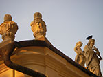 IMGP4364.jpg