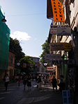IMGP4425.jpg