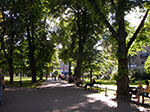 IMGP4429.jpg