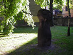 IMGP4435.jpg