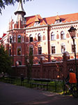 IMGP4437.jpg
