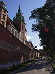 IMGP4438.jpg