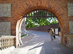 IMGP4441.jpg