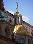 IMGP4446.jpg